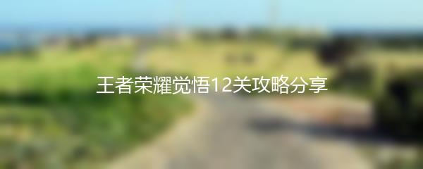 王者荣耀觉悟12关攻略分享