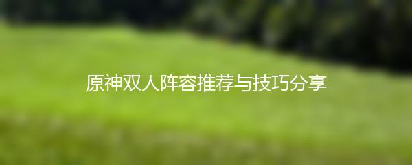 原神双人阵容推荐与技巧分享