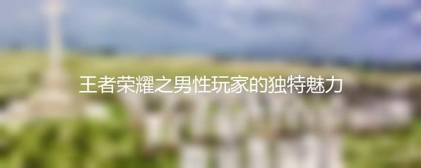 王者荣耀之男性玩家的独特魅力