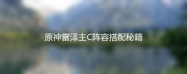 原神雷泽主C阵容搭配秘籍
