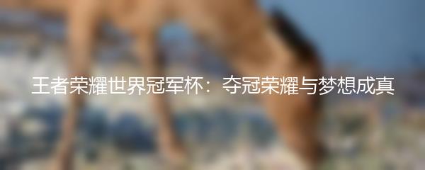 王者荣耀世界冠军杯：夺冠荣耀与梦想成真