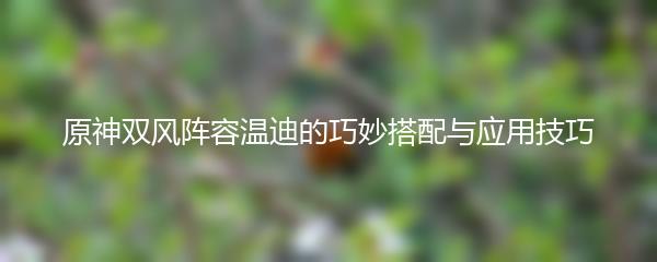 原神双风阵容温迪的巧妙搭配与应用技巧