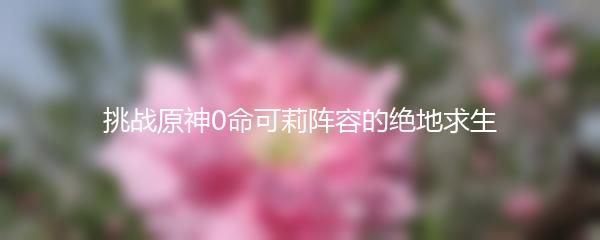 挑战原神0命可莉阵容的绝地求生