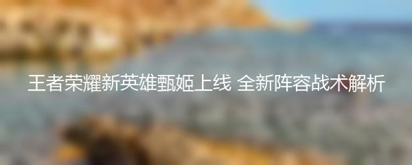 王者荣耀新英雄甄姬上线 全新阵容战术解析