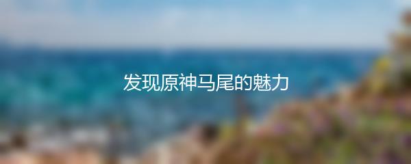 发现原神马尾的魅力