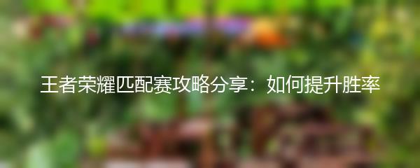 王者荣耀匹配赛攻略分享：如何提升胜率