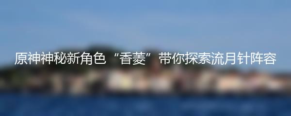 原神神秘新角色“香菱”带你探索流月针阵容