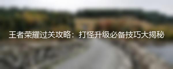 王者荣耀过关攻略：打怪升级必备技巧大揭秘