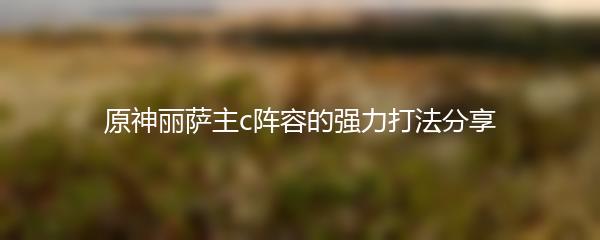 原神丽萨主c阵容的强力打法分享