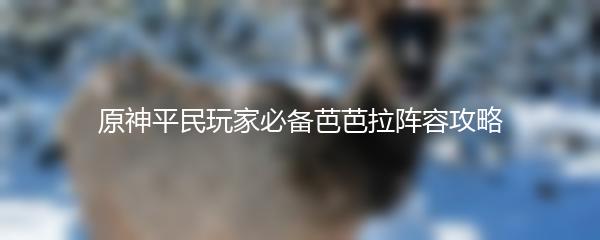 原神平民玩家必备芭芭拉阵容攻略