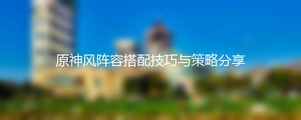 原神风阵容搭配技巧与策略分享