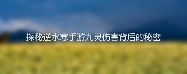 探秘逆水寒手游九灵伤害背后的秘密
