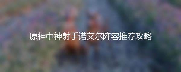原神中神射手诺艾尔阵容推荐攻略