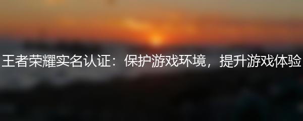 王者荣耀实名认证：保护游戏环境，提升游戏体验