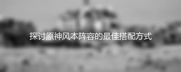 探讨原神风本阵容的最佳搭配方式
