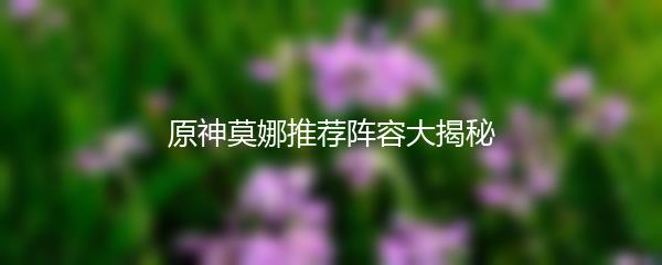 原神莫娜推荐阵容大揭秘