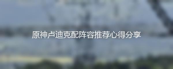 原神卢迪克配阵容推荐心得分享