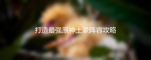 打造最强原神土豪阵容攻略