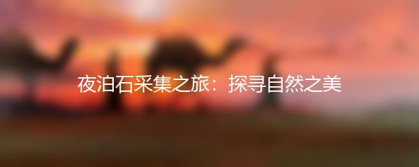 夜泊石采集之旅：探寻自然之美