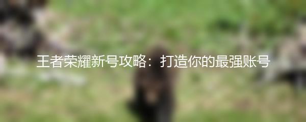 王者荣耀新号攻略：打造你的最强账号