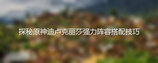 探秘原神迪卢克丽莎强力阵容搭配技巧