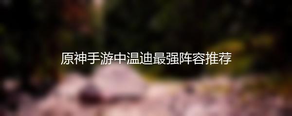 原神手游中温迪最强阵容推荐