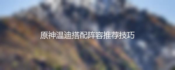 原神温迪搭配阵容推荐技巧