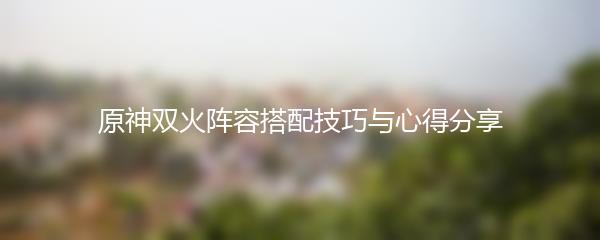 原神双火阵容搭配技巧与心得分享