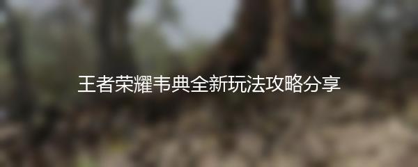 王者荣耀韦典全新玩法攻略分享