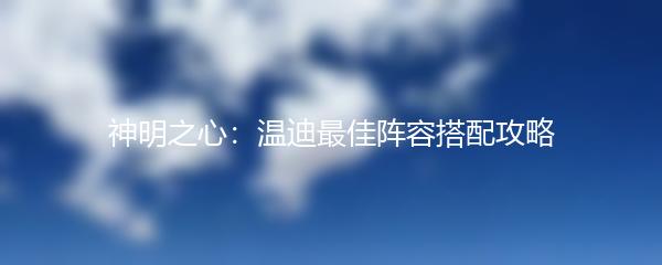 神明之心：温迪最佳阵容搭配攻略