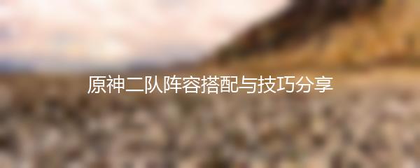 原神二队阵容搭配与技巧分享