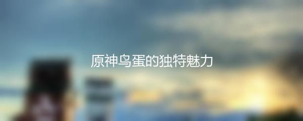 原神鸟蛋的独特魅力