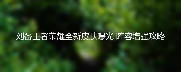 刘备王者荣耀全新皮肤曝光 阵容增强攻略