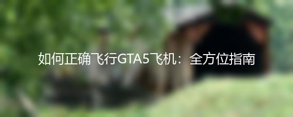 如何正确飞行GTA5飞机：全方位指南