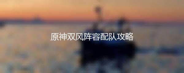 原神双风阵容配队攻略
