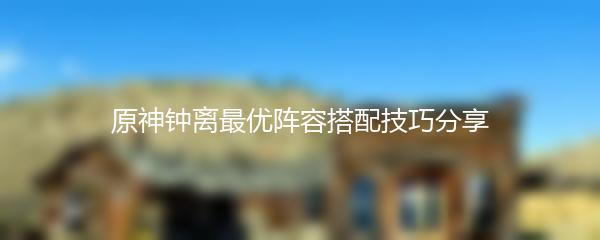 原神钟离最优阵容搭配技巧分享