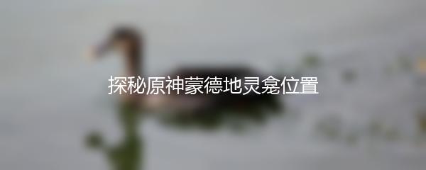 探秘原神蒙德地灵龛位置
