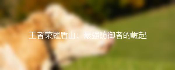 王者荣耀盾山：最强防御者的崛起