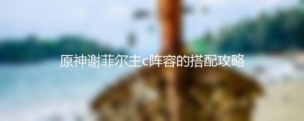 原神谢菲尔主c阵容的搭配攻略