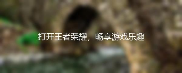 打开王者荣耀，畅享游戏乐趣