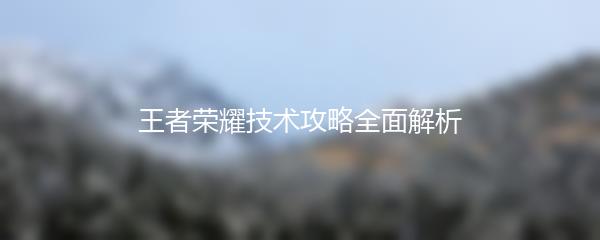 王者荣耀技术攻略全面解析
