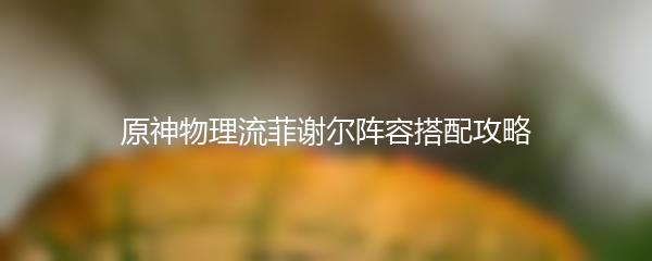 原神物理流菲谢尔阵容搭配攻略
