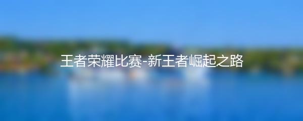 王者荣耀比赛-新王者崛起之路