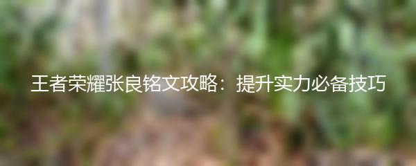 王者荣耀张良铭文攻略：提升实力必备技巧
