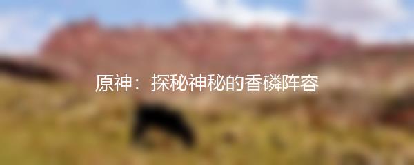 原神：探秘神秘的香磷阵容