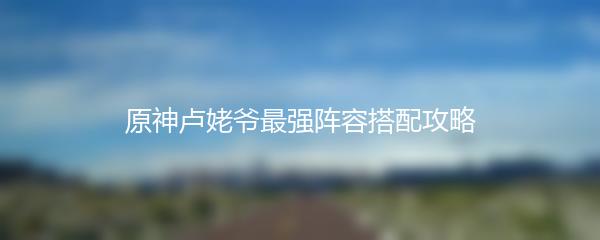 原神卢姥爷最强阵容搭配攻略
