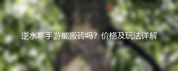 逆水寒手游能搬砖吗？价格及玩法详解
