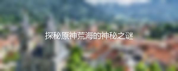 探秘原神荒海的神秘之谜