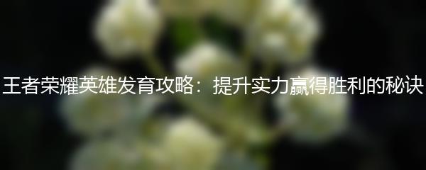 王者荣耀英雄发育攻略：提升实力赢得胜利的秘诀
