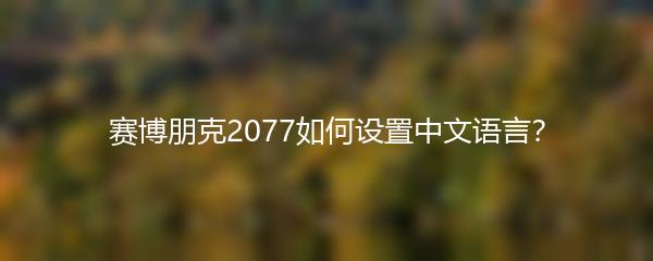 赛博朋克2077如何设置中文语言？